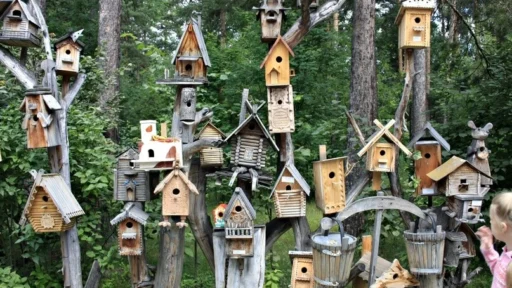 Best Birdhouses for Different Species