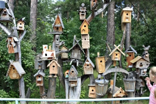 Best Birdhouses for Different Species