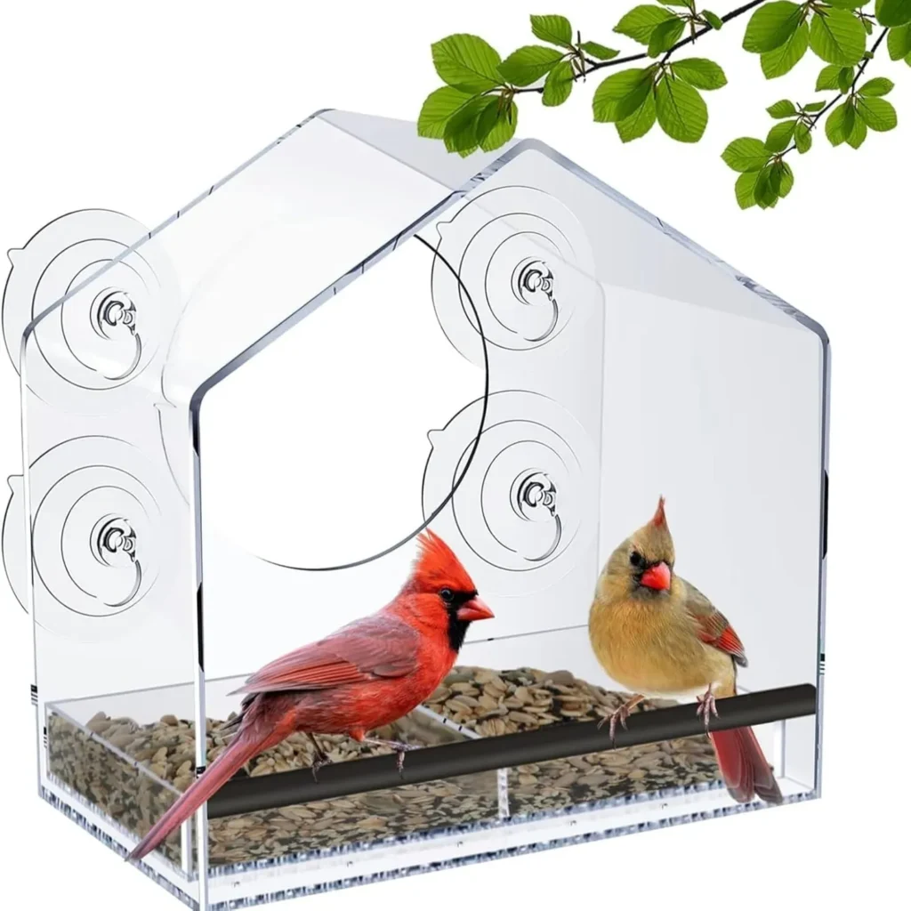 Window Bird Feeder Suction Cup Feeders