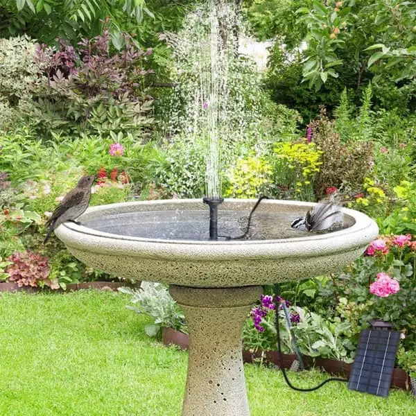 bird bath fountain