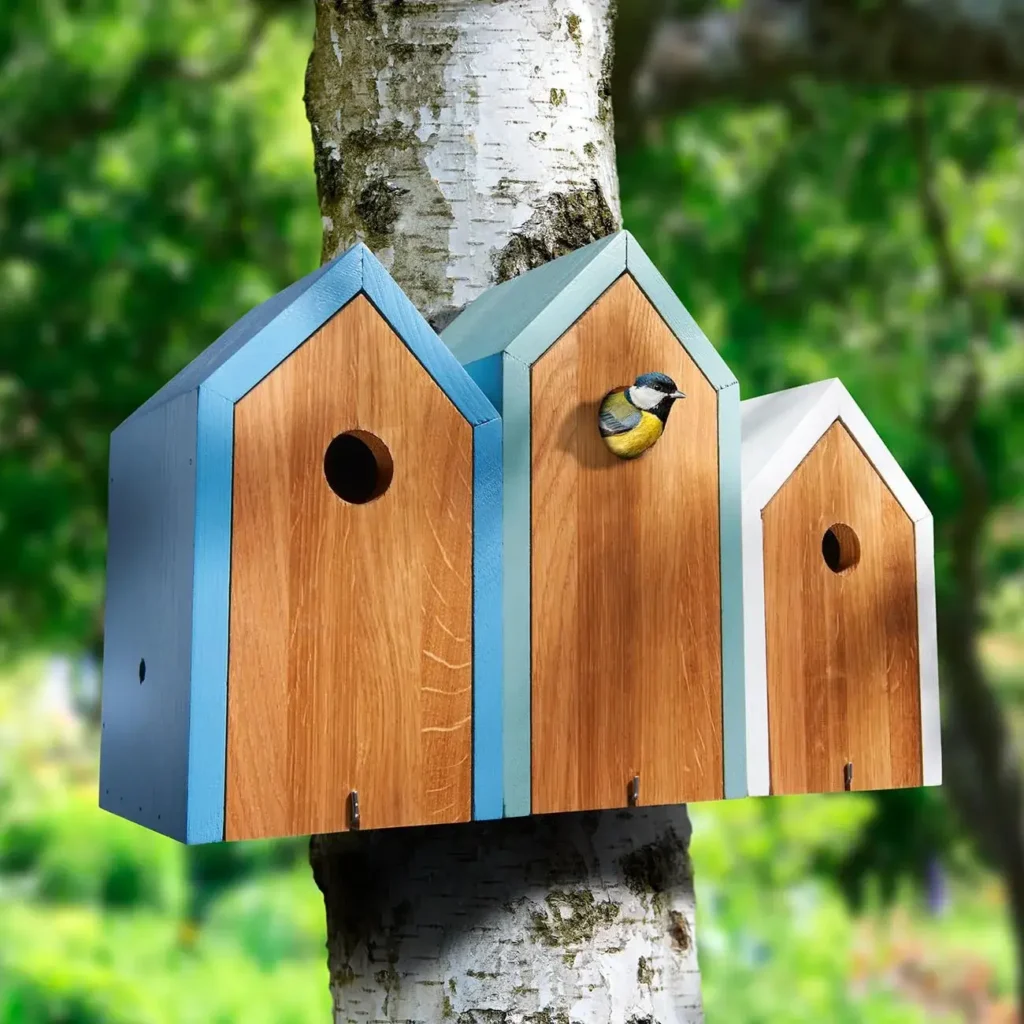 birdhouse for different species