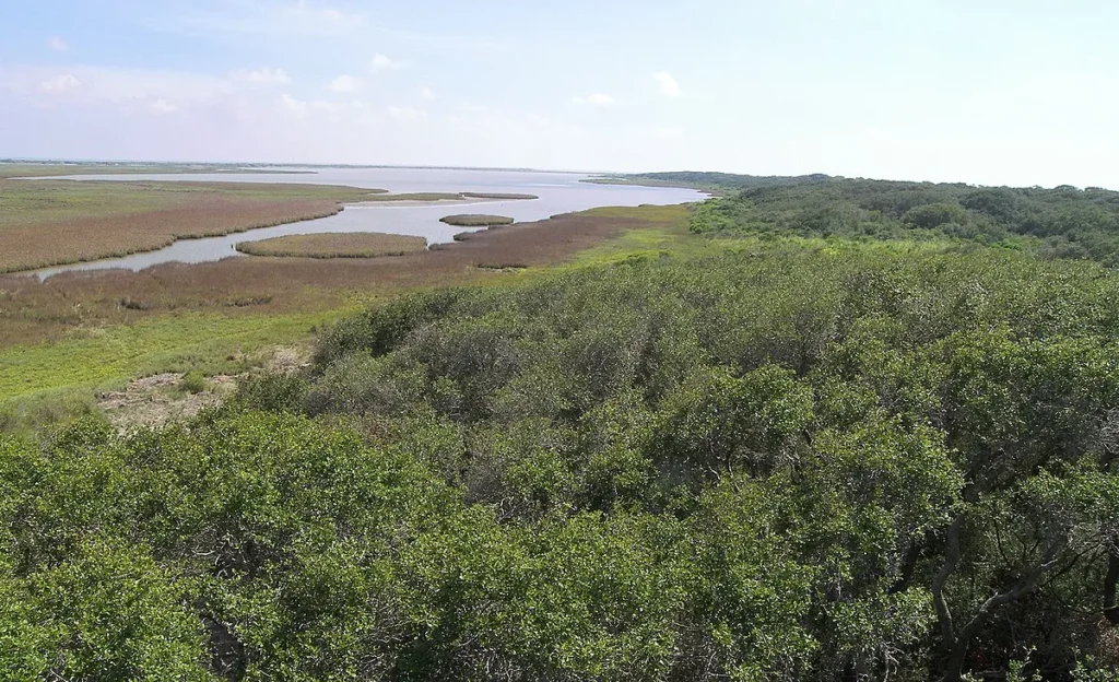 Aransas National Wildlife Refuge