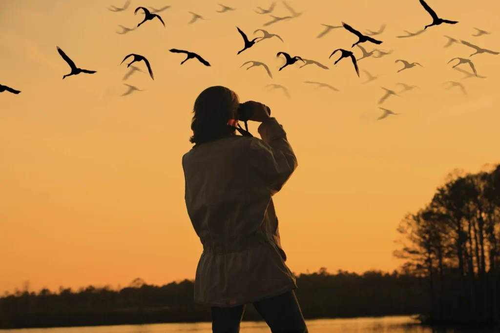 Birdwatching in Spain: Where and How