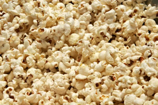 Can Birds Eat Popcorn? A Complete Guide for Bird Owners