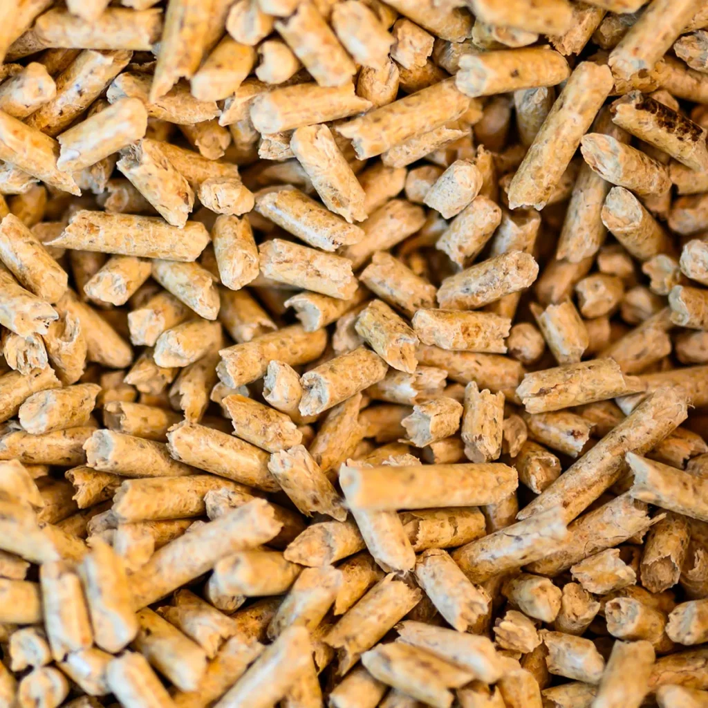 High-Quality Pellets - Captive macaws diet - What Do Macaws Eat?