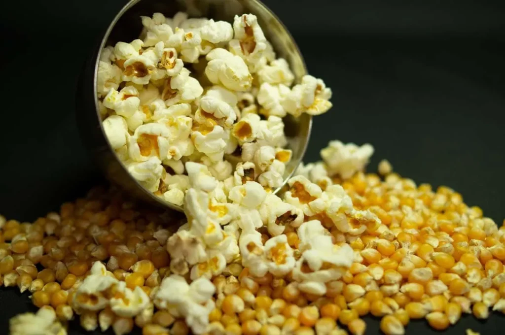 How to Prepare Bird-Safe Popcorn