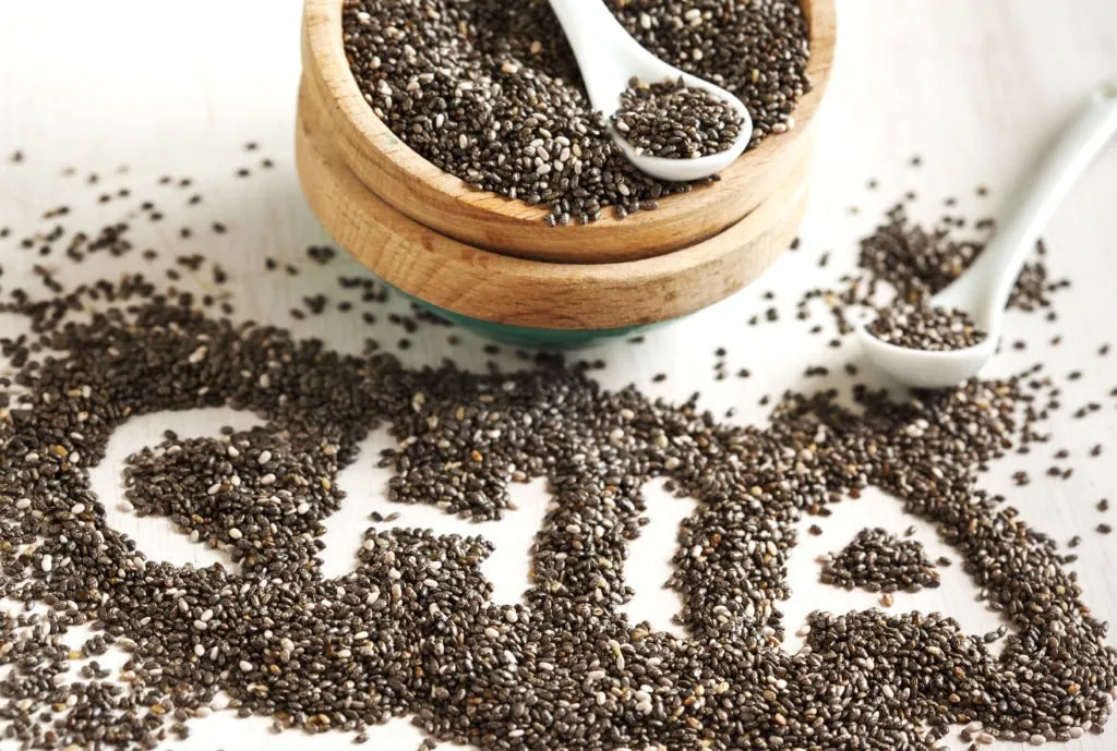 Nutritional Value of Chia Seeds - Can Birds Eat Chia Seeds?