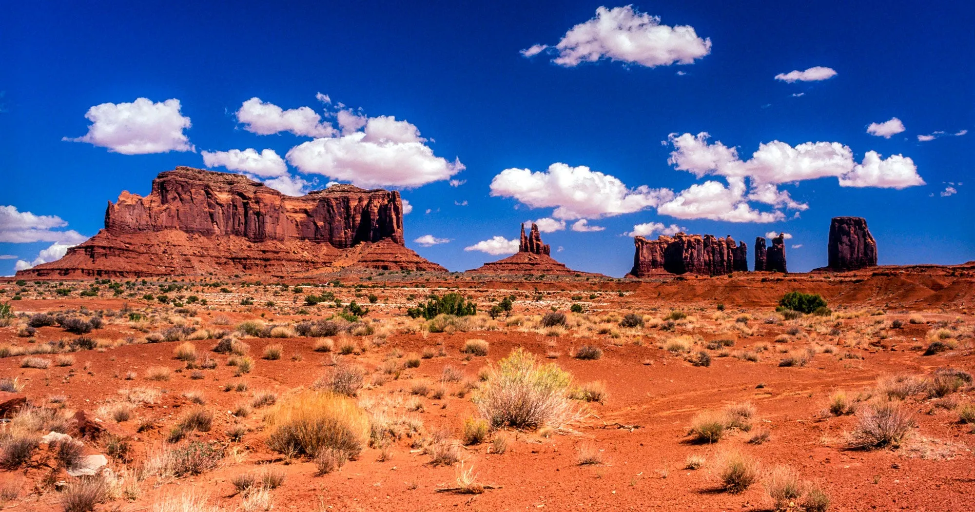 The Multitude of Habitats in Arizona