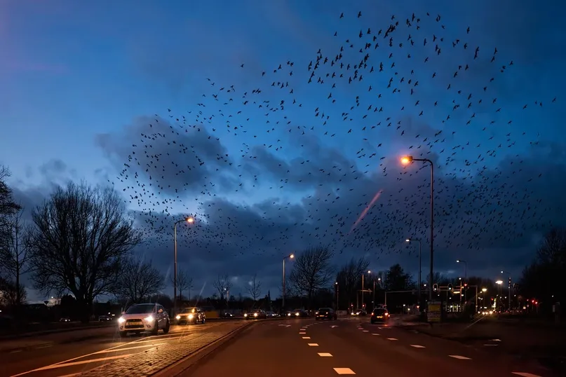 The Science of Nighttime Flight